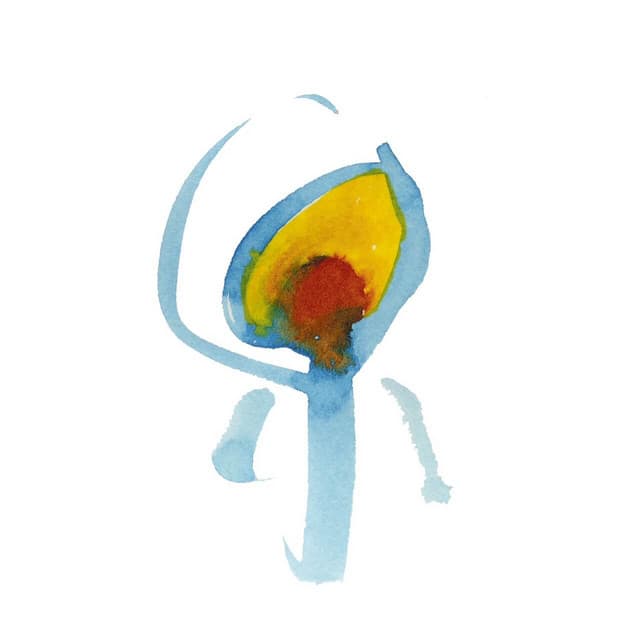 Nujabes